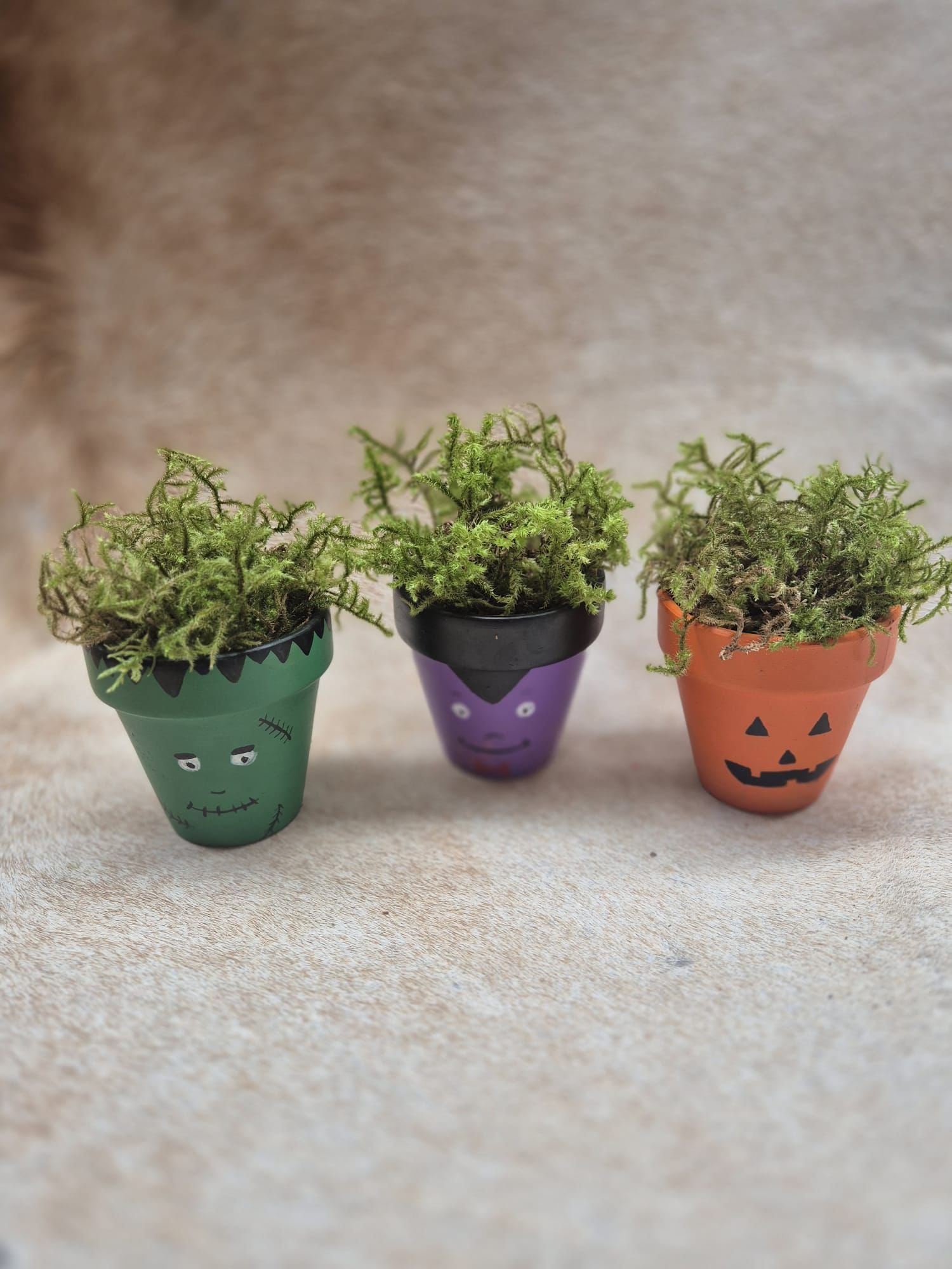 Halloween set potjes