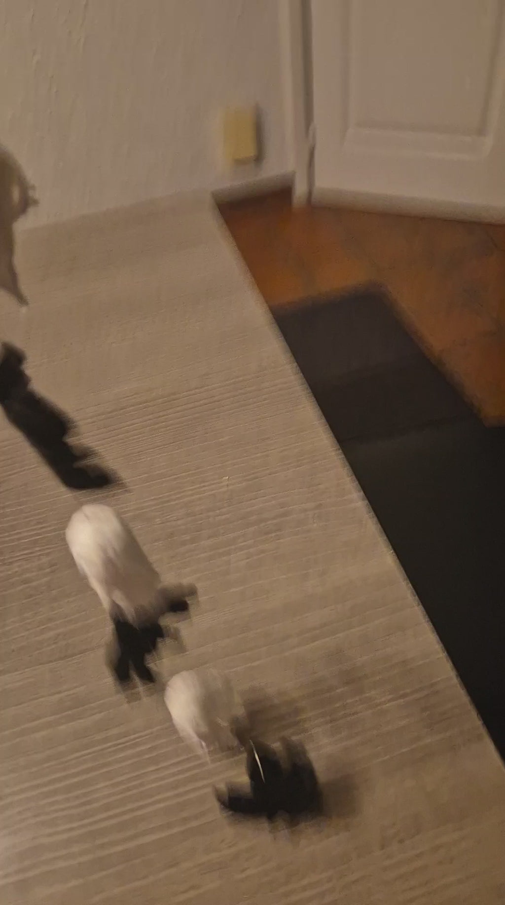 Halloweenslingers met licht